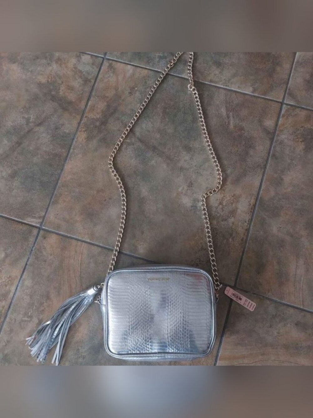 Victoria's Secret Silver Metallic Chain Link Crossbody Bag NWT